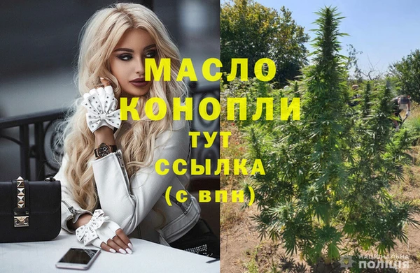 мет Каменка
