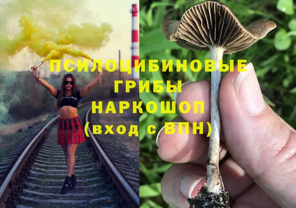 мет Каменка